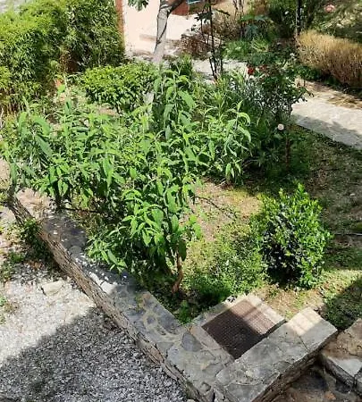 Maison Provence Avec Piscine Privative Nyons